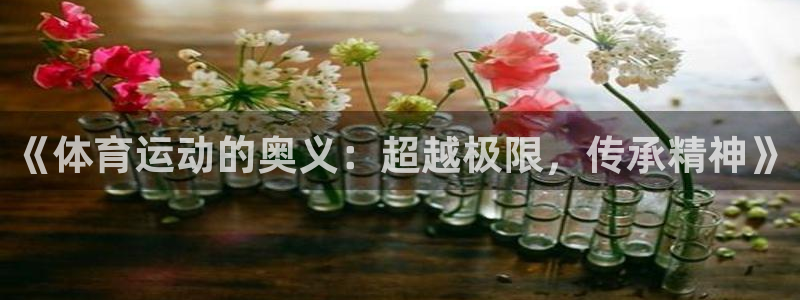 《体育运动的奥义：超越极限，传承精神》