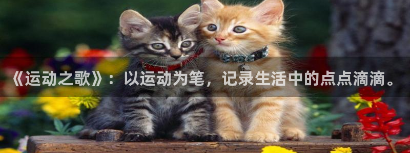 《运动之歌》：以运动为笔，记录生活中的点点滴滴。