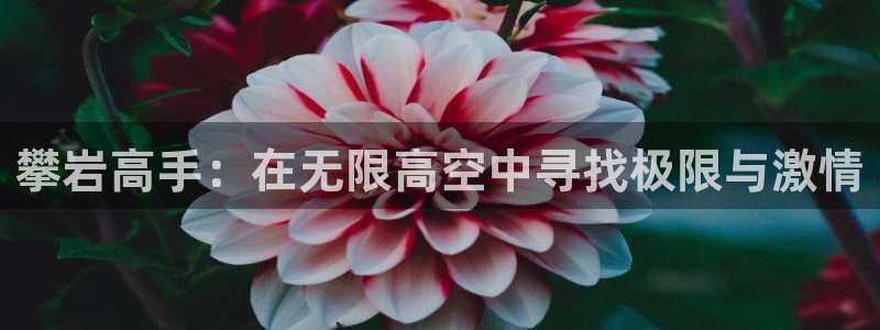 攀岩高手：在无限高空中寻找极限与激情
