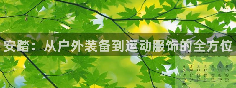 安踏：从户外装备到运动服饰的全方位