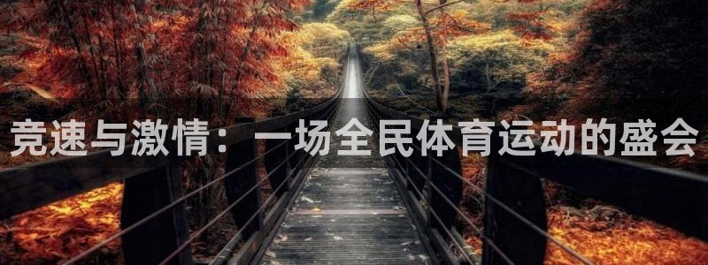 竞速与激情：一场全民体育运动的盛会