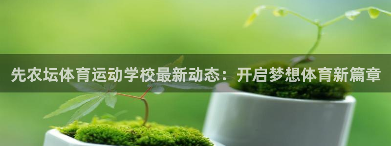 先农坛体育运动学校最新动态：开启梦想体育新篇章