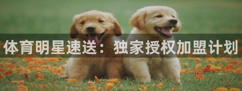 体育明星速送：独家授权加盟计划